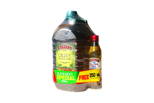 Borges Olive Pomace oil 5 Ltr with Olive Oil Garlic 250 mL