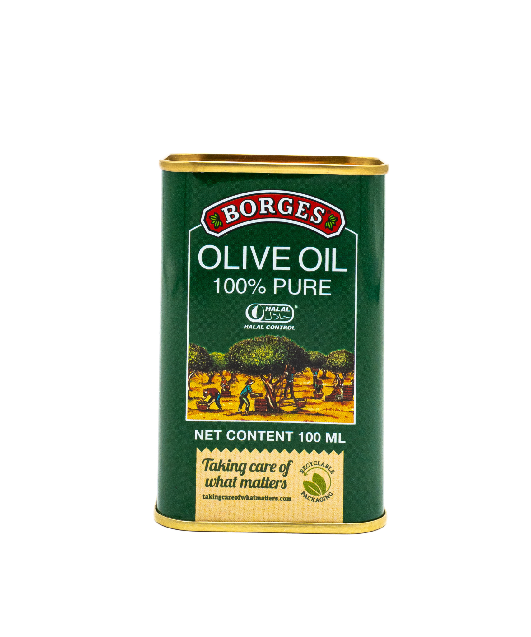 Borges olive oil can on a white background