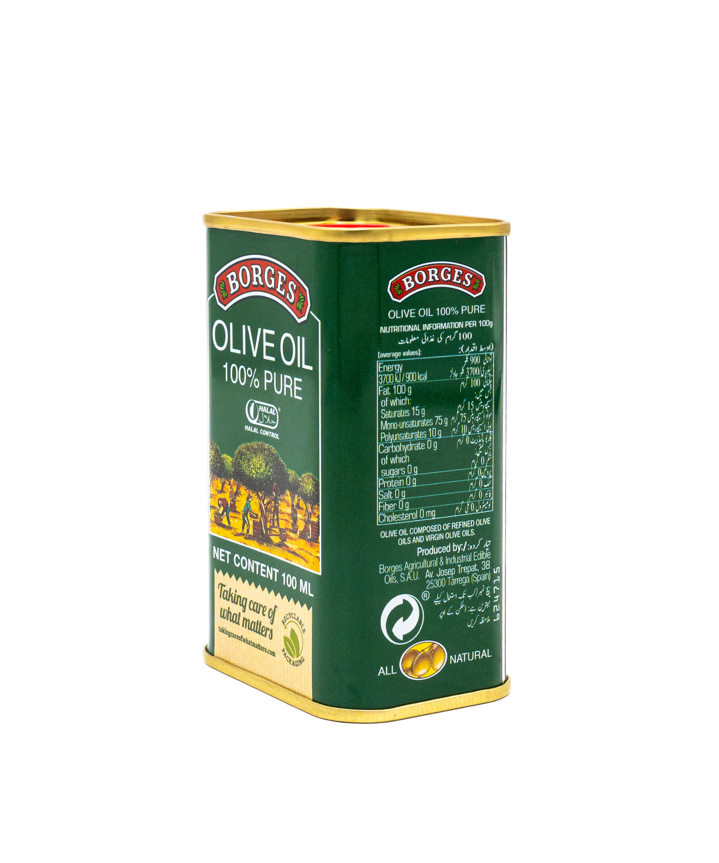 Borges olive oil can on a white background