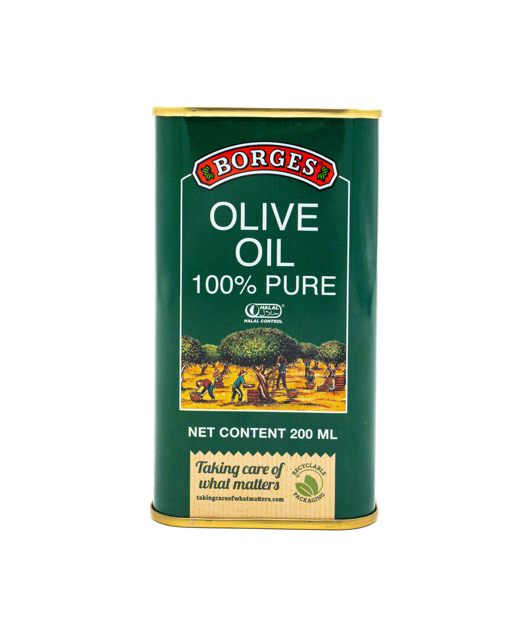 Borges olive oil can on a white background